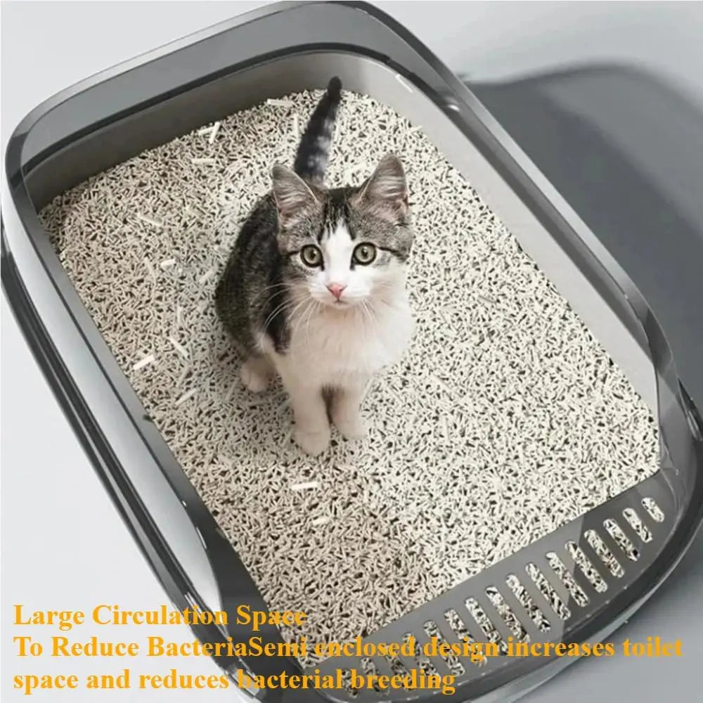 Kitty Sandbox