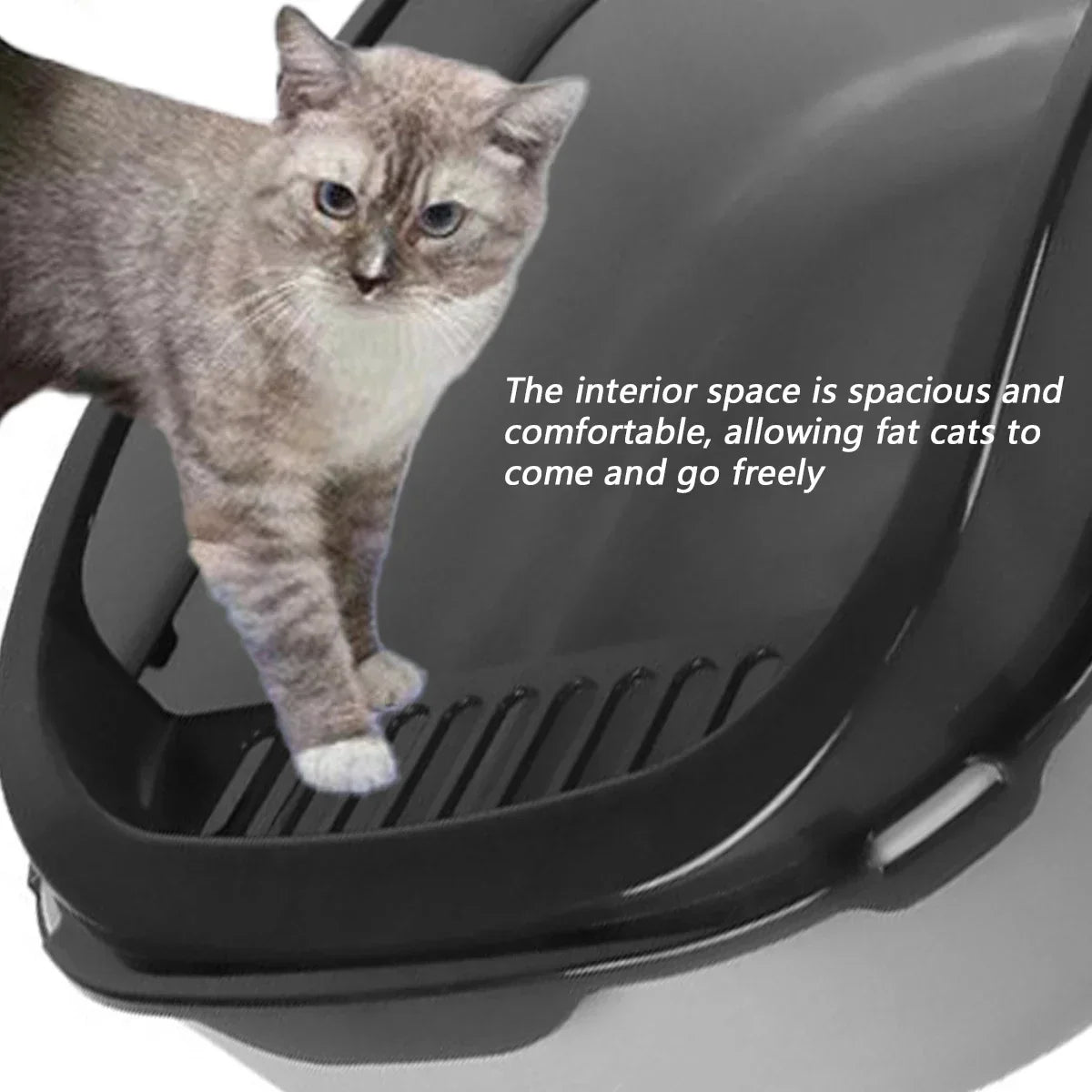 Kitty Sandbox